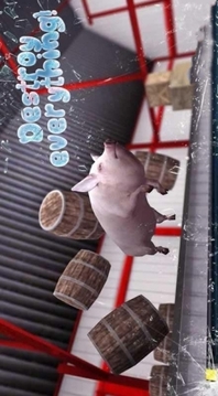 模擬豬生活游戲截圖2