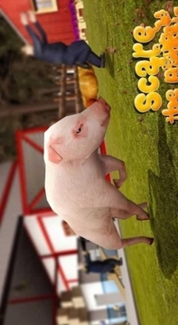 模擬豬生活游戲截圖4