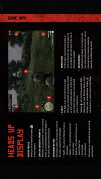 RDR2 ompanion游戲截圖2