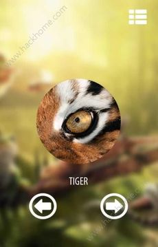 動(dòng)物眼睛游戲截圖3