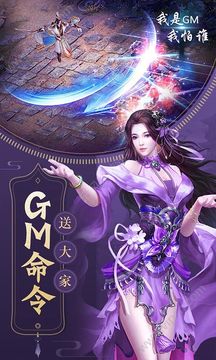 我是GM我怕誰游戲截圖2