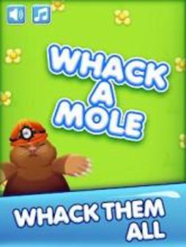 Whack A Mole With Hammer游戲截圖3