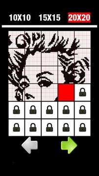Nonogram 2（绘图方块逻辑）游戏截图3