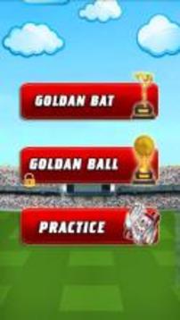 Cricket King游戲截圖2