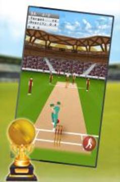 Cricket King游戲截圖3