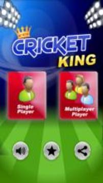 Cricket King游戲截圖1