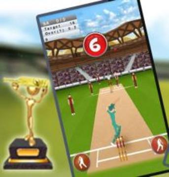 Cricket King游戲截圖4