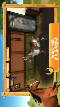 我的駿馬游戲截圖4