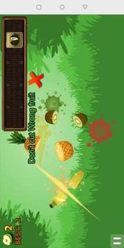 Hattori Ninja Fruit Cutting游戲截圖1