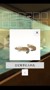 脫出海鮮居酒屋游戲截圖2