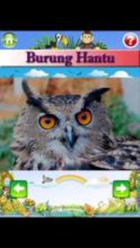 Belajar Mengenal Nama dan Suara Hewan游戲截圖3