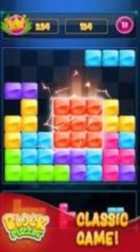 Block puzzle Classic: Puzzle game 2019游戲截圖3