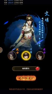 無雙之月游戲截圖4