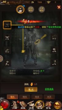 無雙之月游戲截圖1