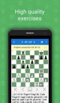 Bobby Fischer. Chess Champion游戲截圖1