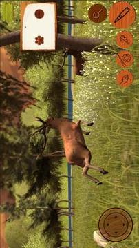 Jungle Animal Hunting 2018: Shooter Survival游戲截圖1
