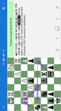 Bobby Fischer. Chess Champion游戲截圖5