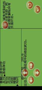 白金II游戲截圖5