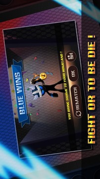 Stickman Warriors:UFB Fighting游戲截圖1