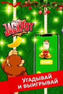 Monkey Lucky游戲截圖2