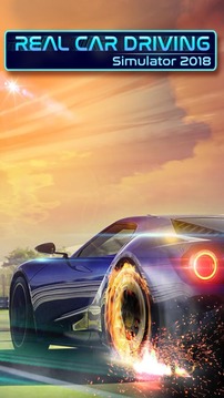 Real Car Driving Simulator 2018游戏截图3