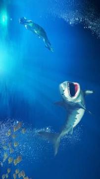 Angry Shark Attack Simulator 2017游戲截圖2