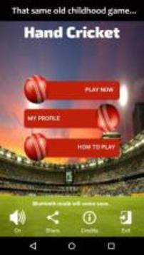 HandCricket Reborn游戲截圖1
