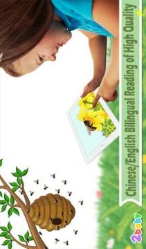 Bee  Insect World游戲截圖1
