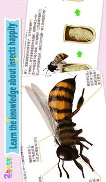 Bee  Insect World游戲截圖2