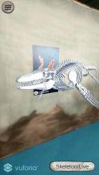 Fossil Discovery Adventure游戲截圖2