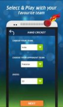 Hand Cricket Game Offline: Ultimate Cricket Fun游戲截圖2