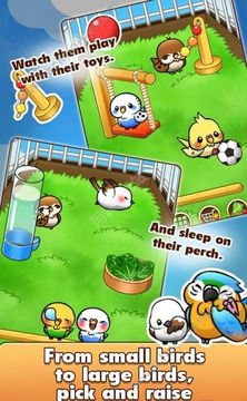 鳥兒們的生活游戲截圖3