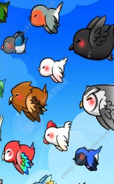 鳥兒們的生活游戲截圖1