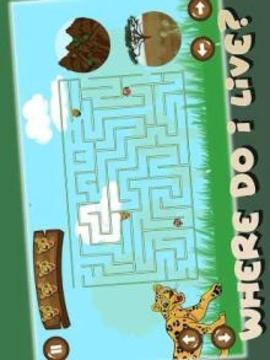 The Zoo Adventure游戲截圖3