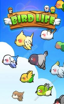 鳥兒們的生活游戲截圖2