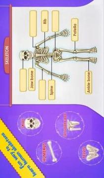 Human Body Parts - Preschool Kids Learning游戲截圖4