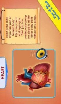 Human Body Parts - Preschool Kids Learning游戲截圖5