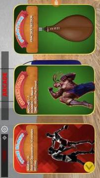 Real Kickboxing  Real 3D游戲截圖5