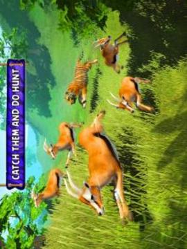 Wild Tiger Survival  Animal Simulator游戲截圖4