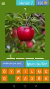 Meyve Sebze Bilmece  Kelime Oyunu游戲截圖3