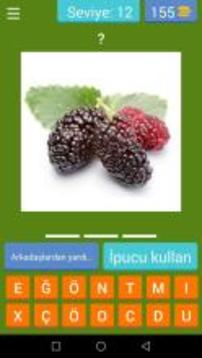 Meyve Sebze Bilmece  Kelime Oyunu游戲截圖2