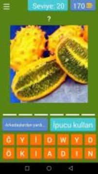 Meyve Sebze Bilmece  Kelime Oyunu游戲截圖5