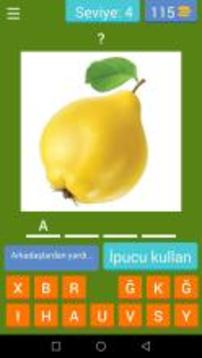 Meyve Sebze Bilmece  Kelime Oyunu游戲截圖4