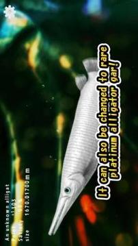 Alligator Gar raising from fry游戲截圖2