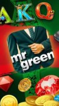 Green View游戲截圖2