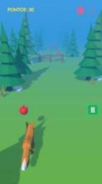 Fox Run - 3D游戲截圖4
