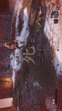 Sekiro Shadows Die Twice  Beta游戲截圖4