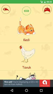 Turkish For Kids - Beginner游戲截圖3
