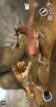 Deer Games 2019  Animal Shooting Games游戲截圖4