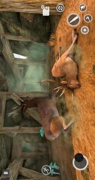 Deer Games 2019  Animal Shooting Games游戲截圖1